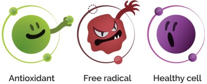 Antioxidants