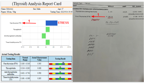 Test Report 4