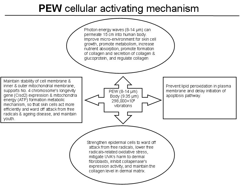 Photon Energy Wave Cellular Activating Mechanism