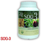 SOG-3